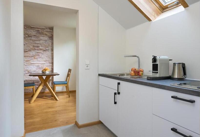 Апартаменты 1 Спальня, Pension Gabriela