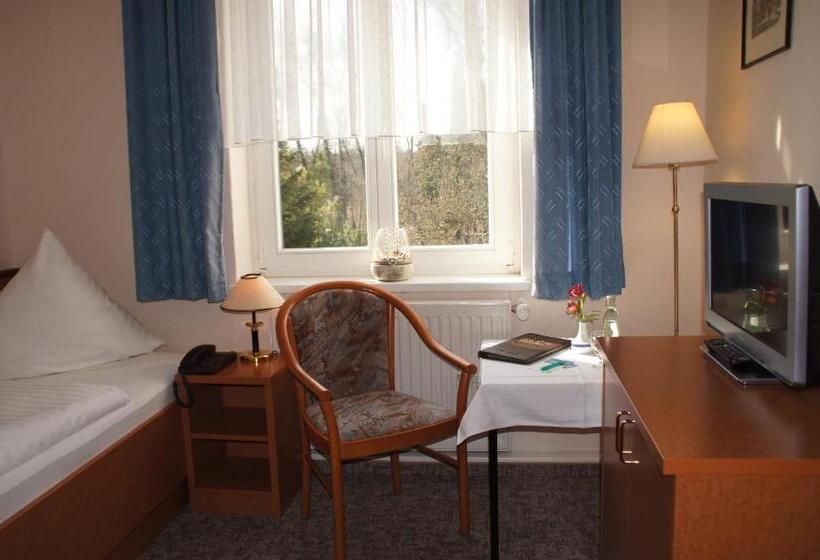 标准单人间, Pension Seeblick