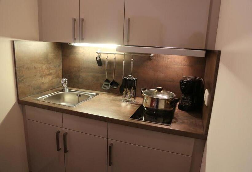 带1个卧室的高级公寓, Wasmayr Hof