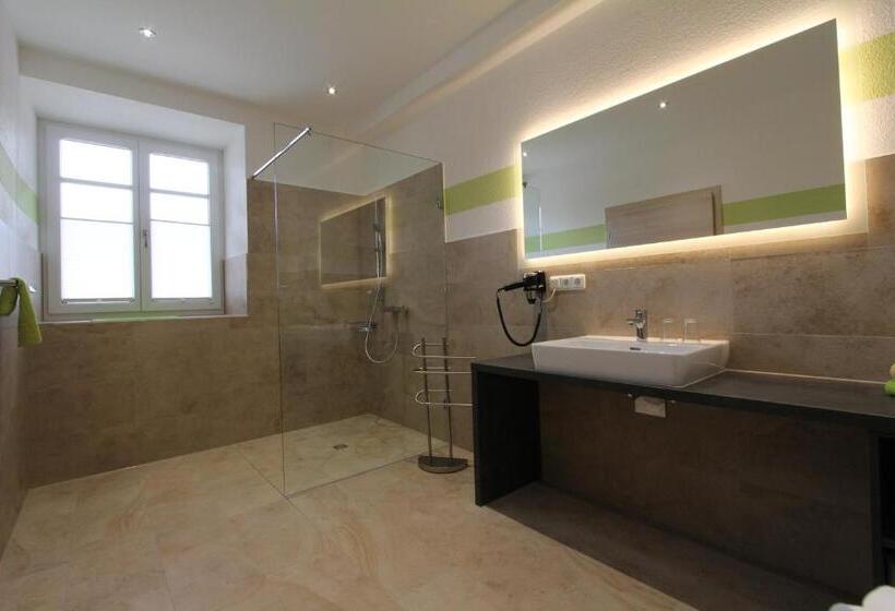 带1个卧室的豪华公寓, Wasmayr Hof