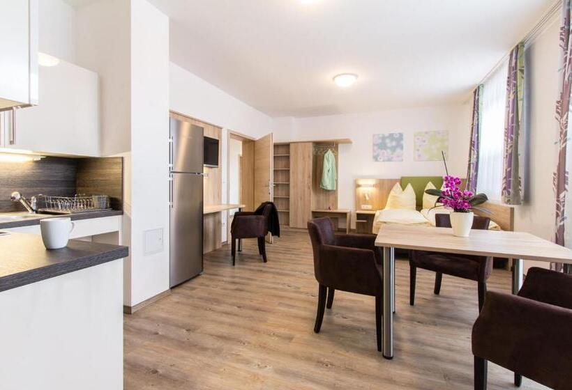 带1个卧室的豪华公寓, Wasmayr Hof