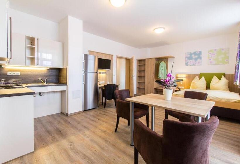 带1个卧室的豪华公寓, Wasmayr Hof