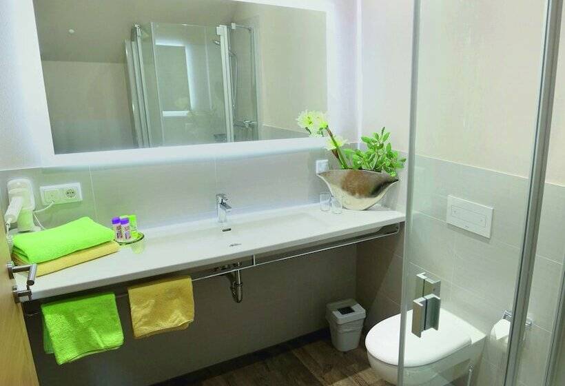 带1个卧室的高级公寓, Wasmayr Hof