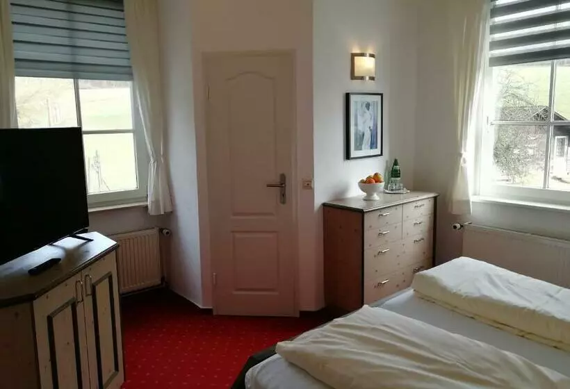 スタンダードルーム, Waldhotel Forsthaus Remstecken