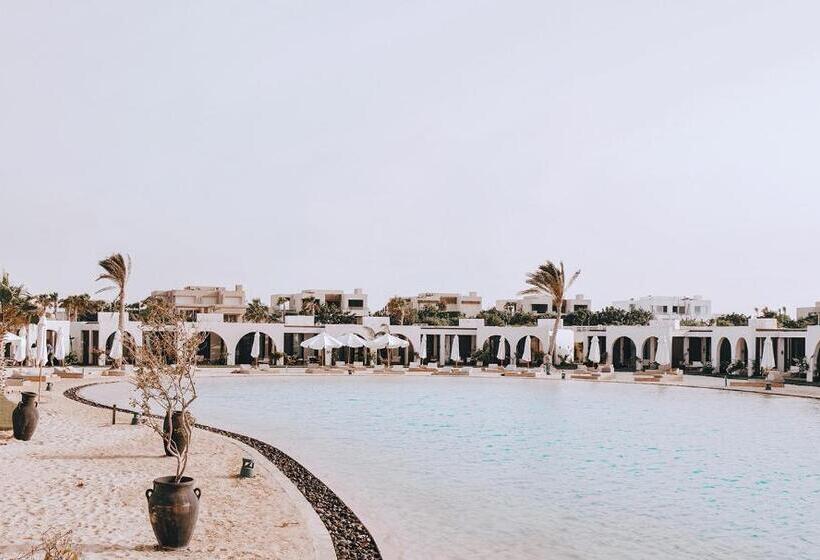 اتاق سوپریور با تخت بزرگ, Le Sidi   A Tlt Signature