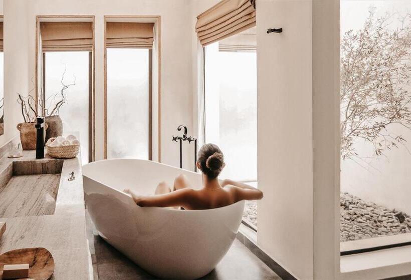 اتاق سوپریور با تخت بزرگ, Le Sidi   A Tlt Signature