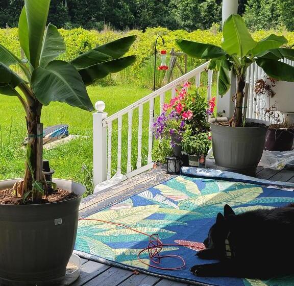 חדר סטנדרט, Phoenix Farms Vineyard