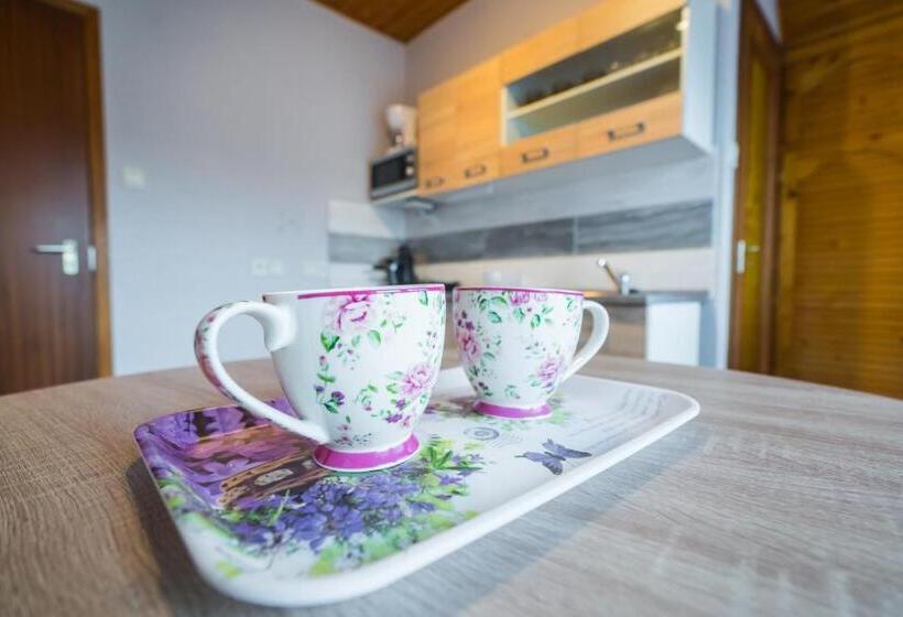 标准房带园景, Csini Vendégház