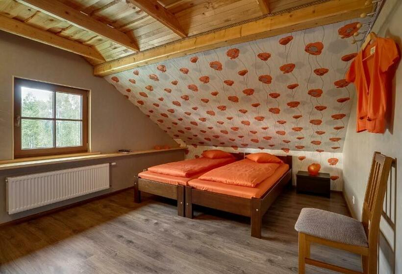 اتاق استاندارد با چشم‌انداز دریاچه, Paegli Guest House