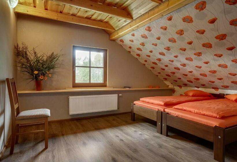 اتاق استاندارد با چشم‌انداز دریاچه, Paegli Guest House