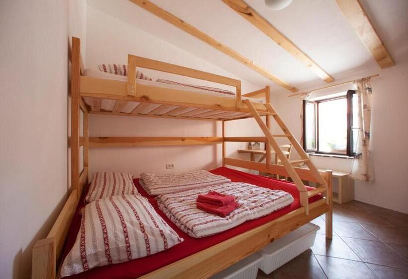 اتاق استاندارد, Hostel Xaxid
