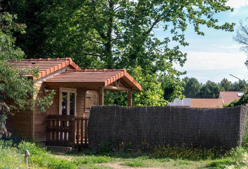 Шале 1 Спальня, Domaine Du Mas Bazan