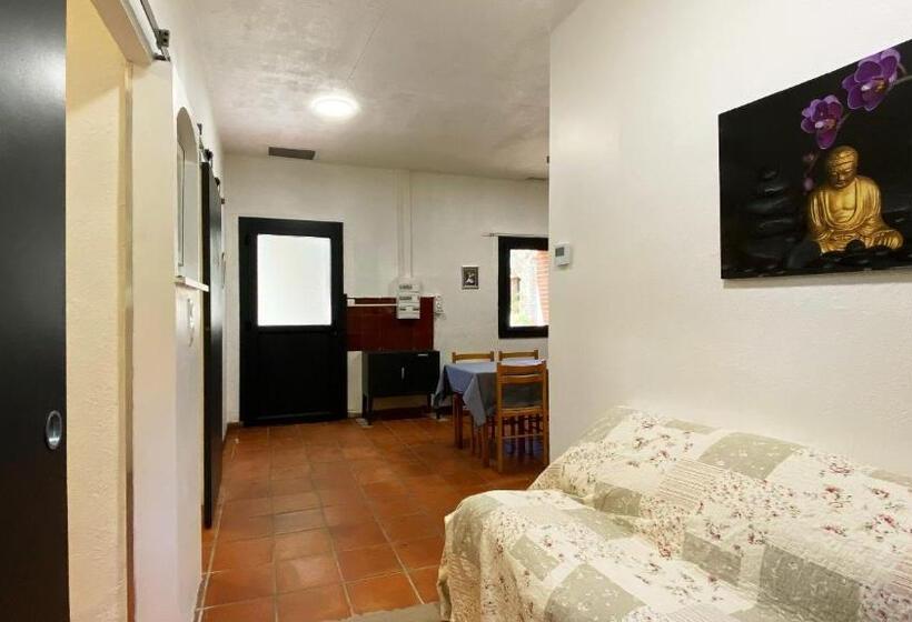 패밀리 스위트, Domaine Du Mas Bazan