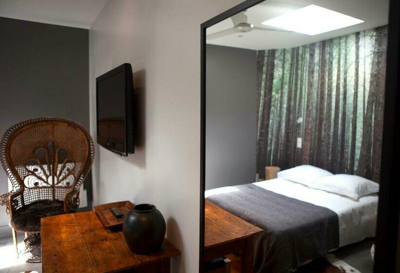 اتاق لوکس, Home Arcachon