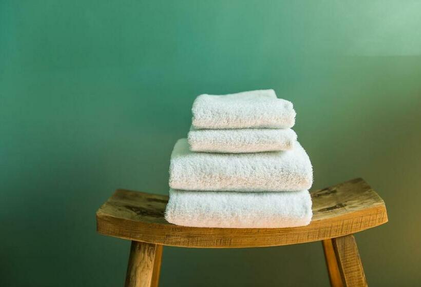 اتاق لوکس با بالکن, Home Arcachon