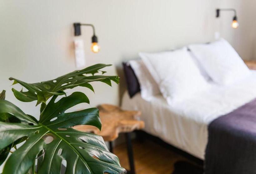 اتاق لوکس با بالکن, Home Arcachon