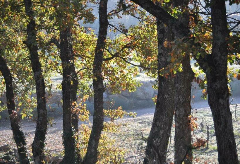 스탠다드 테라스 룸, Le Clos Geraldy   Chambres D Hôtes De Charme, Piscine Et Spa