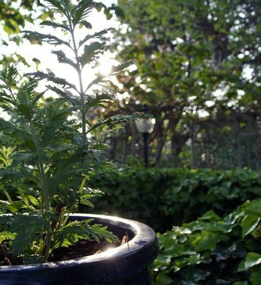 带露台的豪华间, Le Relais Des Chartreuses