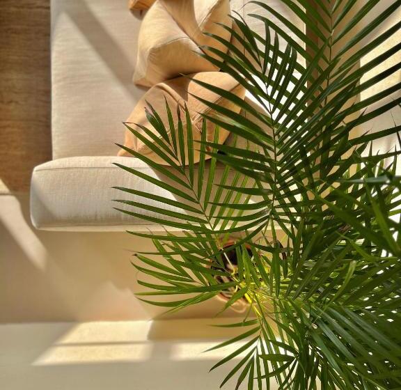 Люкс Повышенной Комфортности, Toile Blanche