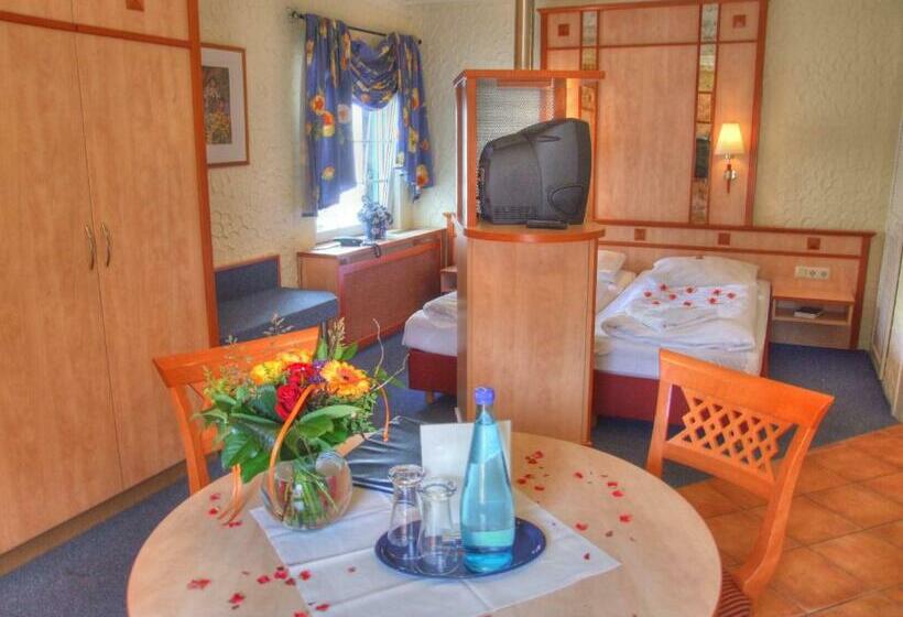 דירת חדר, Vogel Hotel & Appartements