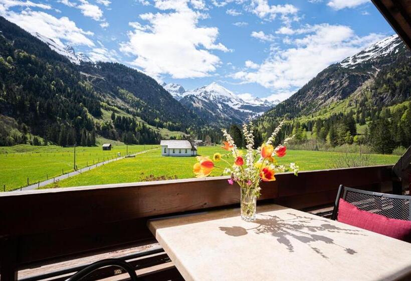 标准间带阳台, Birgsau