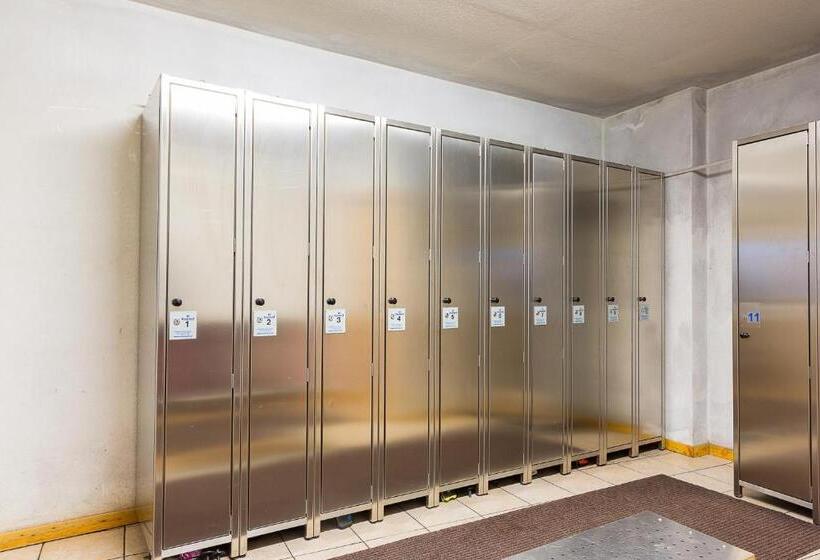 4인용 스탠다드 룸, Champagne