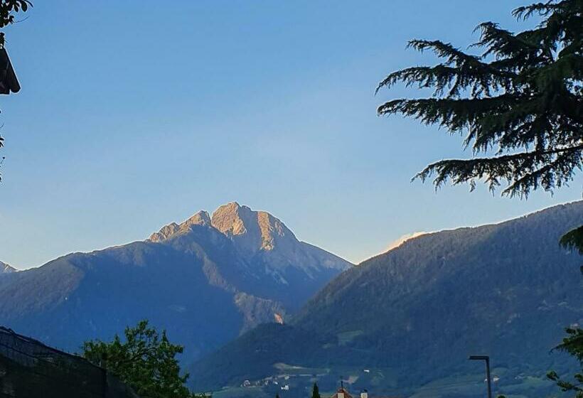 חדר סטנדרט, Fleuralp