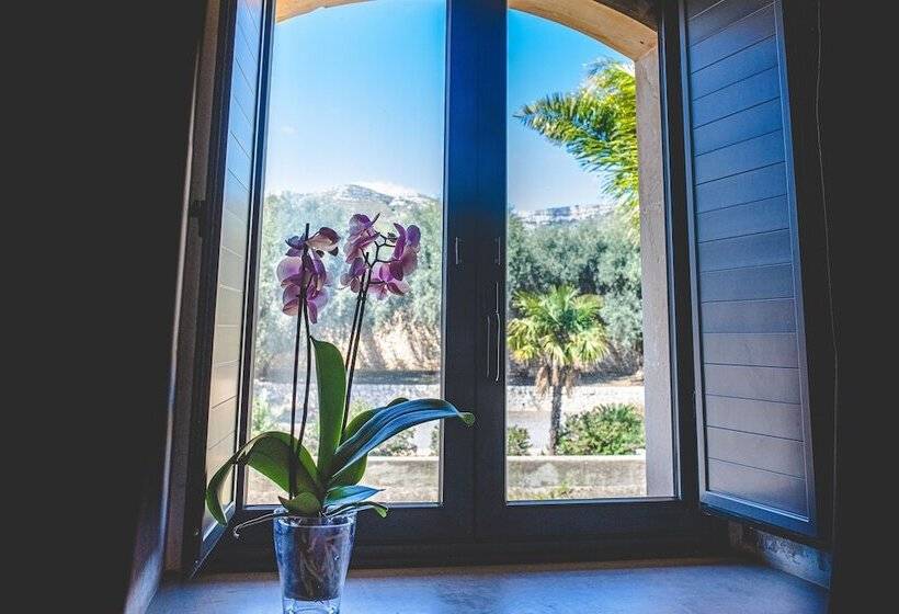 Номер Стандарт, Nuovo Castello Crisilio