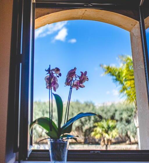 Номер Стандарт, Nuovo Castello Crisilio