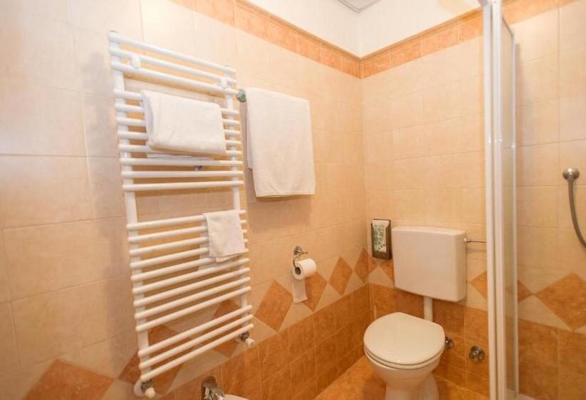 חדר סטנדרט יחיד, Pejo