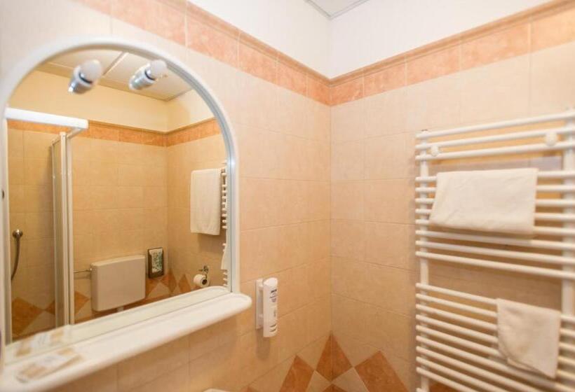 חדר סטנדרט יחיד, Pejo