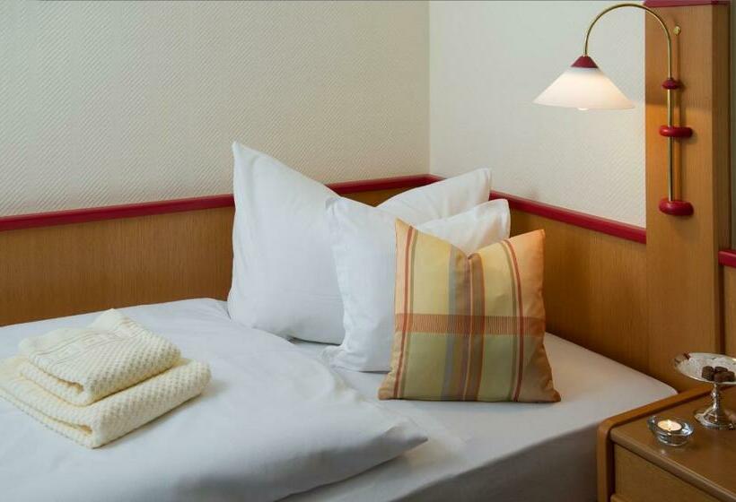 Cameră Confort Single, Riedenburg