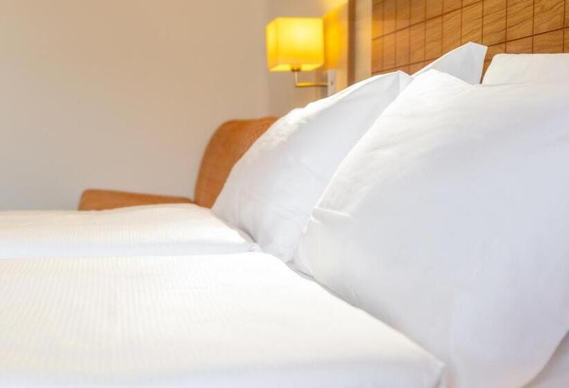 スーペリアトリプルルーム, Aria Life