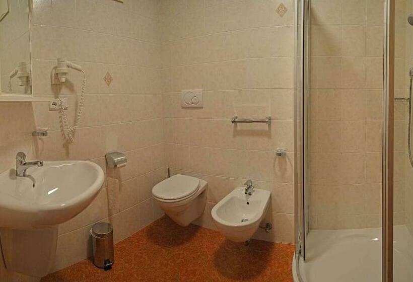 Номер Superior с Балконом, Trenker