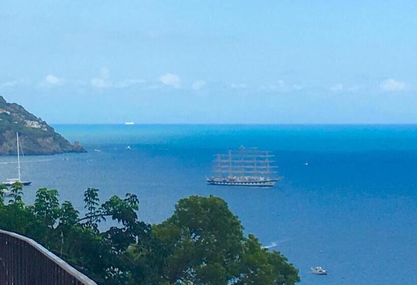 Cameră Standard cu Balcon, Villa Delle Palme In Positano