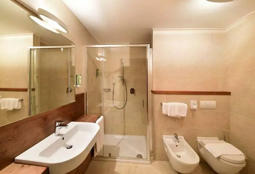 １ベッドルームのスーペリアアパートメント, Ariston Dolomiti Residence