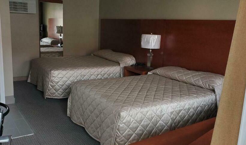 Номер Стандарт, Motel Falcon