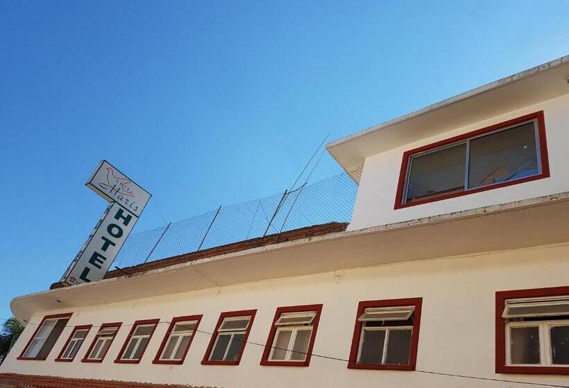 דירת חדר, Maris