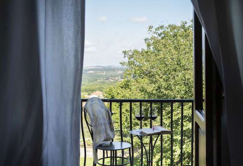 带观景的豪华间, Palazzo Malaspina B&b