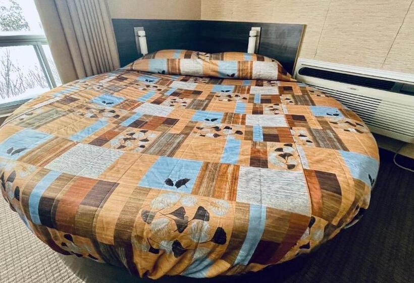 חדר סטנדרט, Motel Falcon