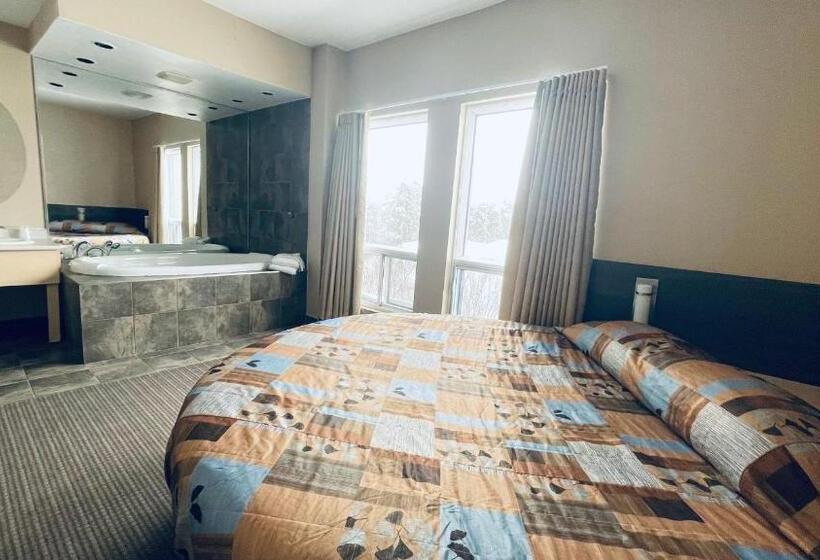 חדר סטנדרט, Motel Falcon