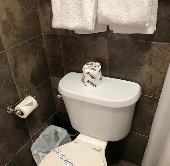 חדר סטנדרט, Motel Falcon