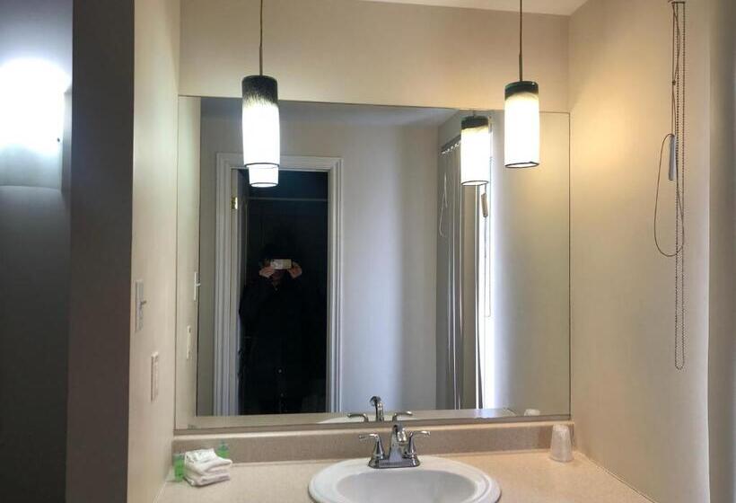 חדר סטנדרט, Motel Falcon