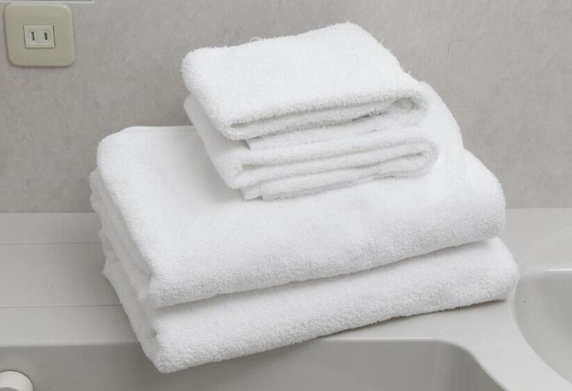 Номер Стандарт, Richmond Hotel Sapporo Odori