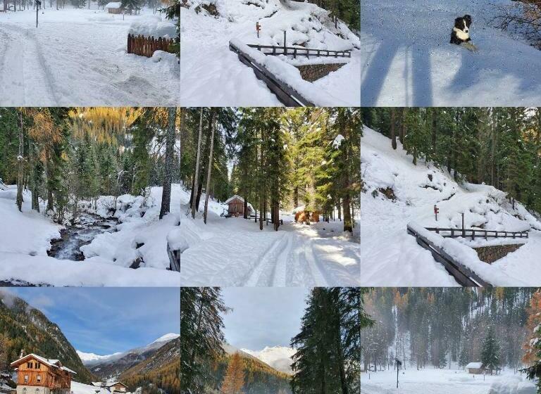 חדר סופריור לשלושה, Chalet Val Di Rabbi