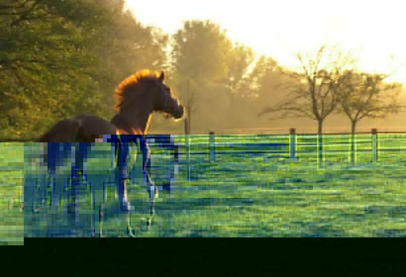 스탠다드 룸, Restaurant Piärdestall Hövelhof