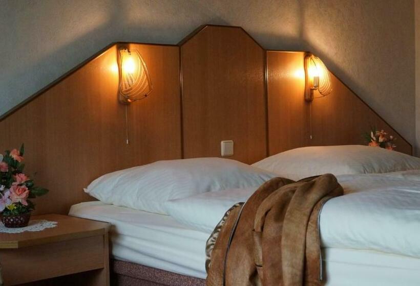 غرفة قياسية, Richzenhainer Hof