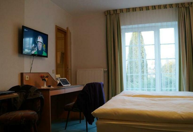 غرفة قياسية فردية, Richzenhainer Hof