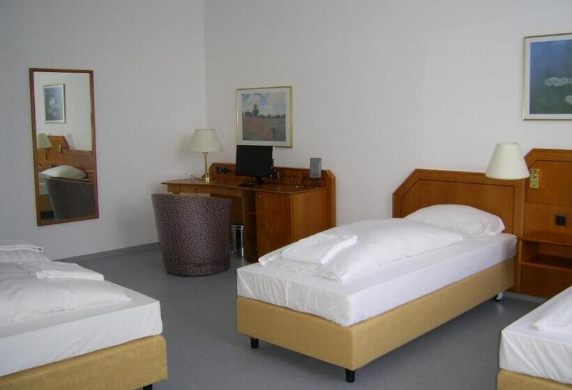 חדר סטנדרט לשלושה, Willy Hotel Frankfurt