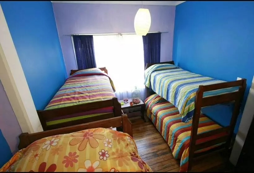 Bed in Shared Room with Shared Bathroom, Angel Hostal   Hostel